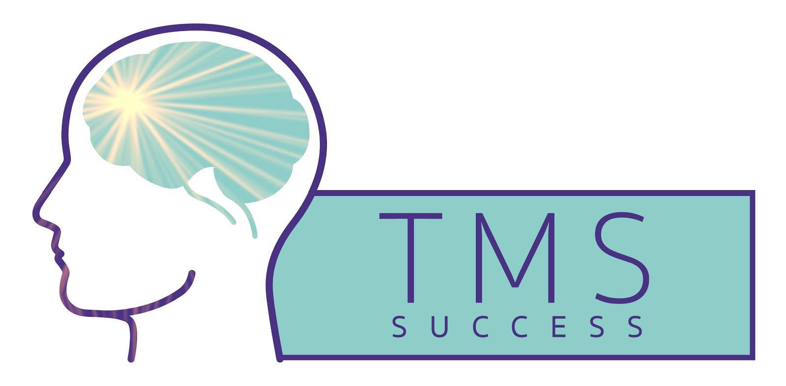 TMS Success logo